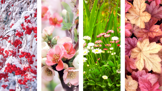 The Best Floral Waters for Spring, Summer, Fall & Winter