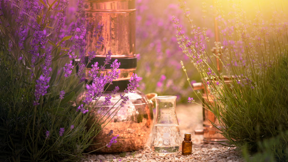 Unveiling the Power of Nature’s Scents