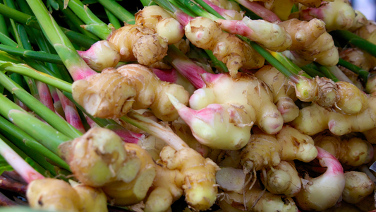 Power Up Your Mind & Body with Ginger Essential Oil