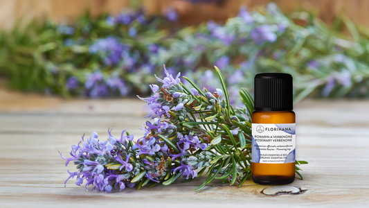 Rosemary Verbenone: Gentle Care, Powerful Results