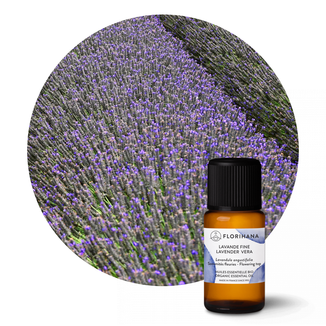 Lavender Vera Essential Oil