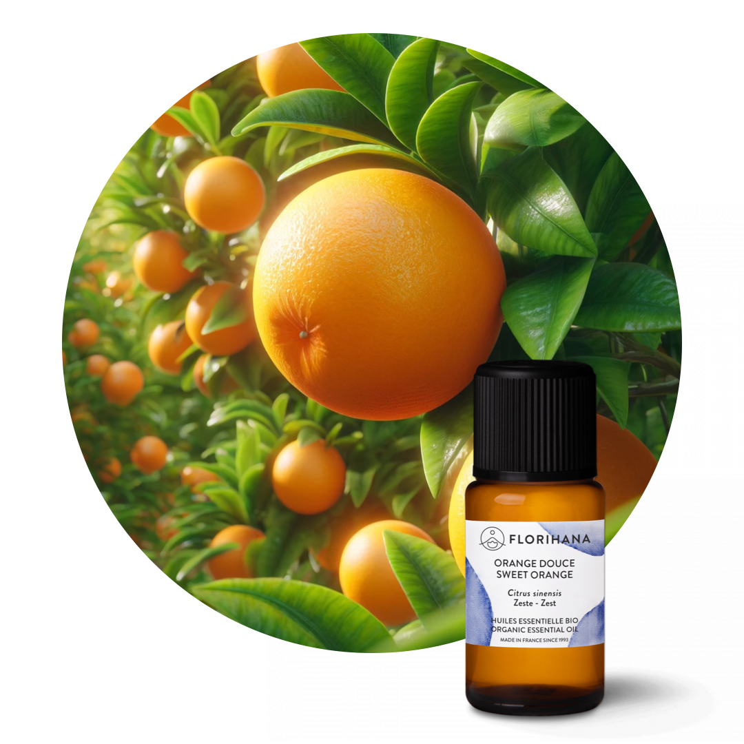 Sweet Orange Organic Essential Oil