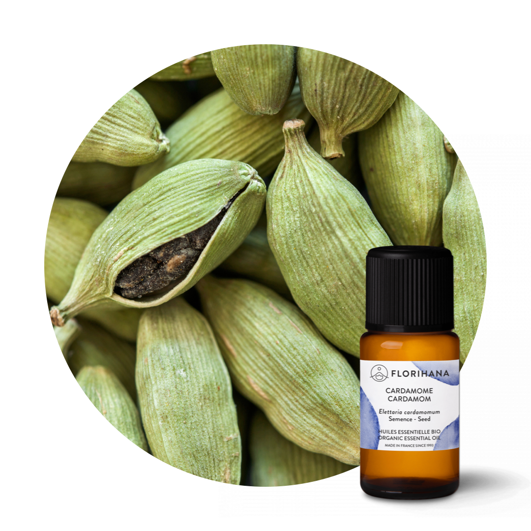 Cardamom Organic Essential Oil