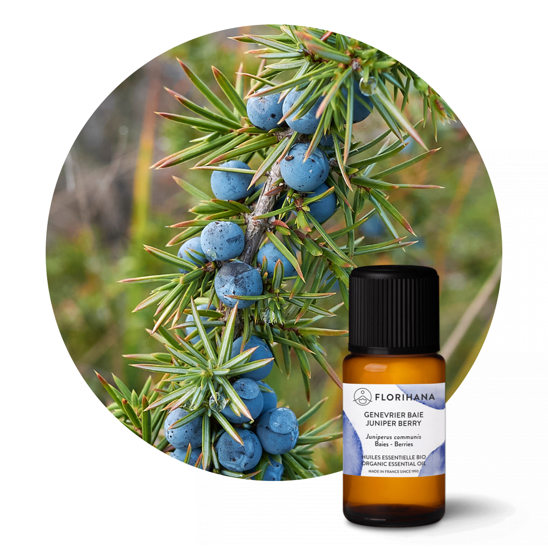 Juniper Berry Essential Oil