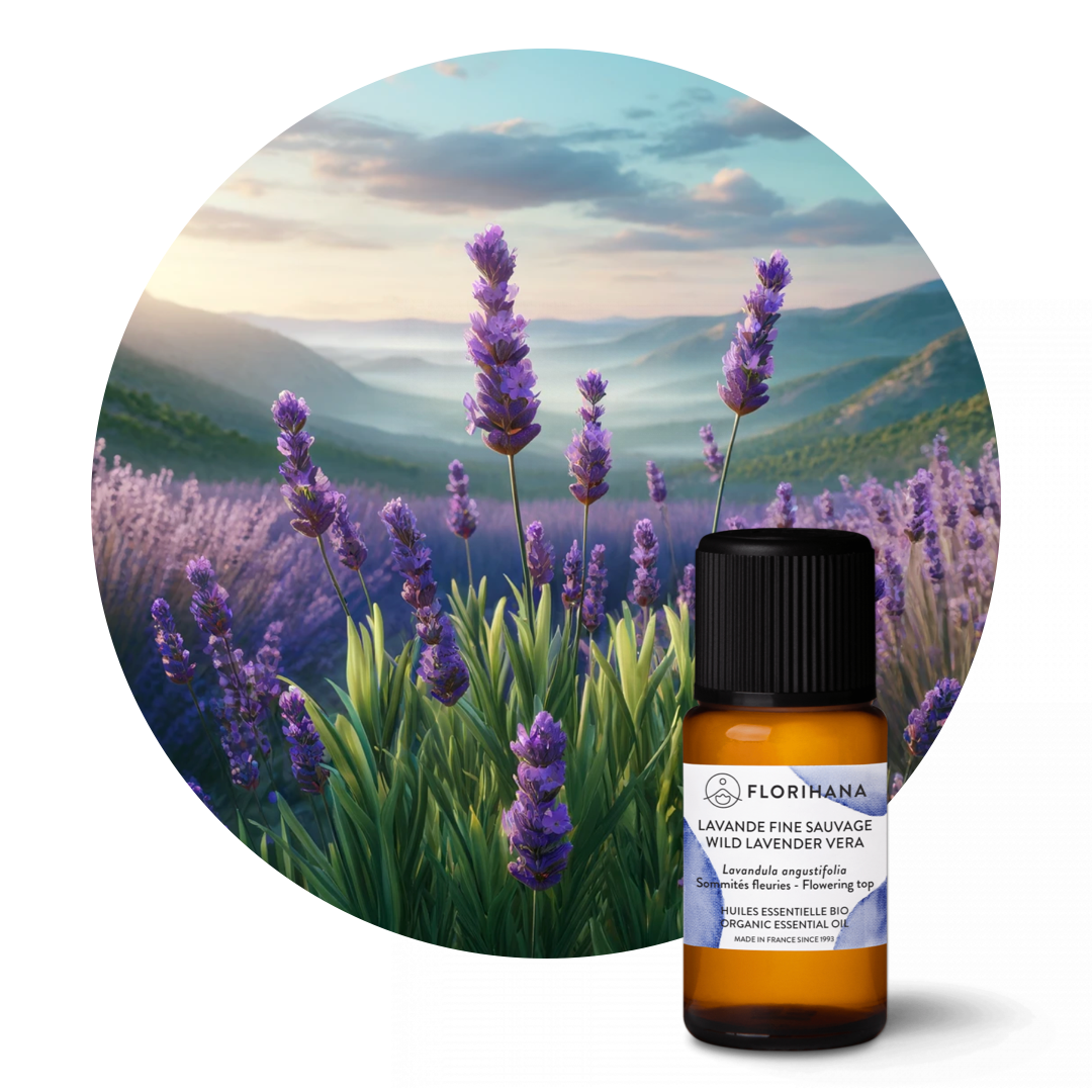 Wild Lavender Verra Essential Oil