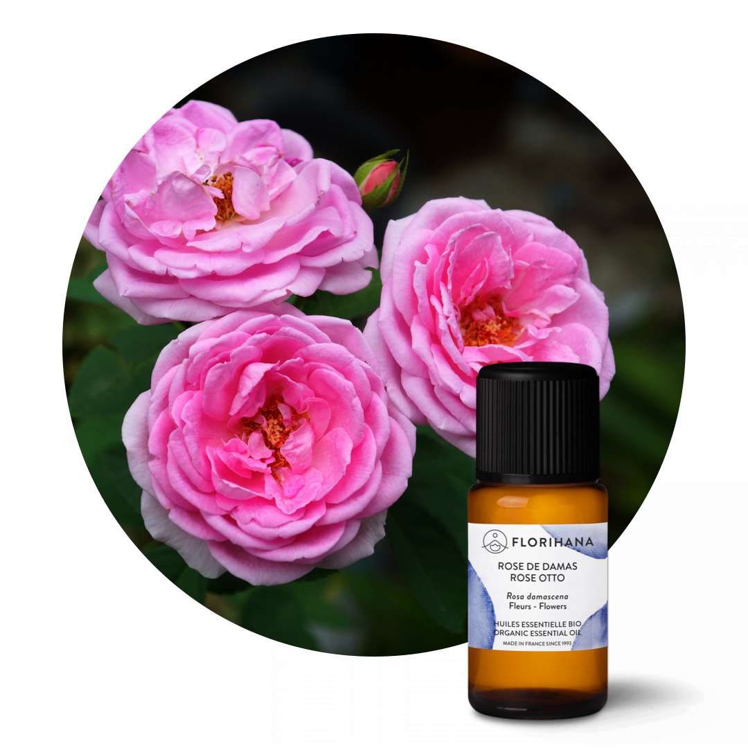 Rose Otto Organic Essential Oil