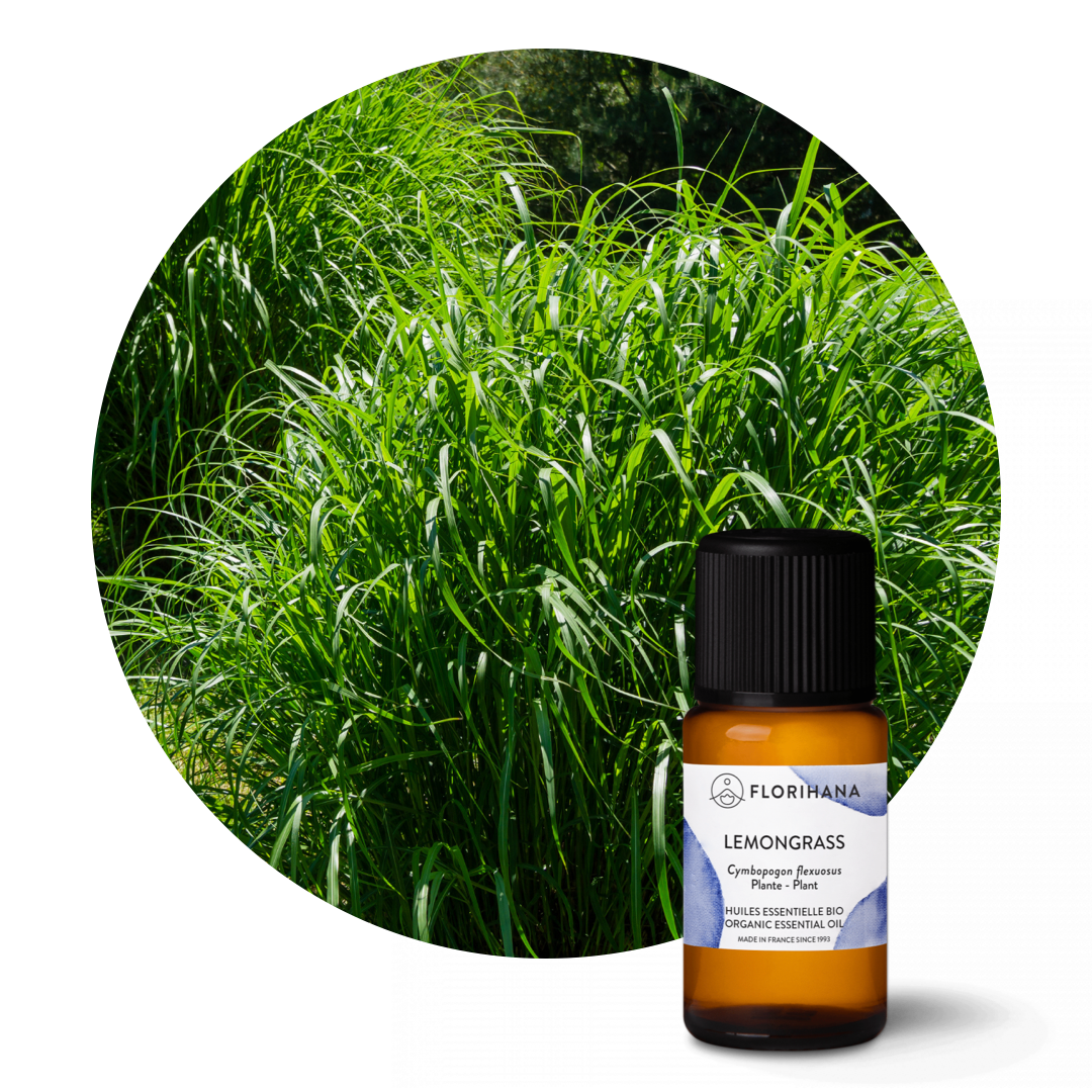 Lemongrass Essential Oil