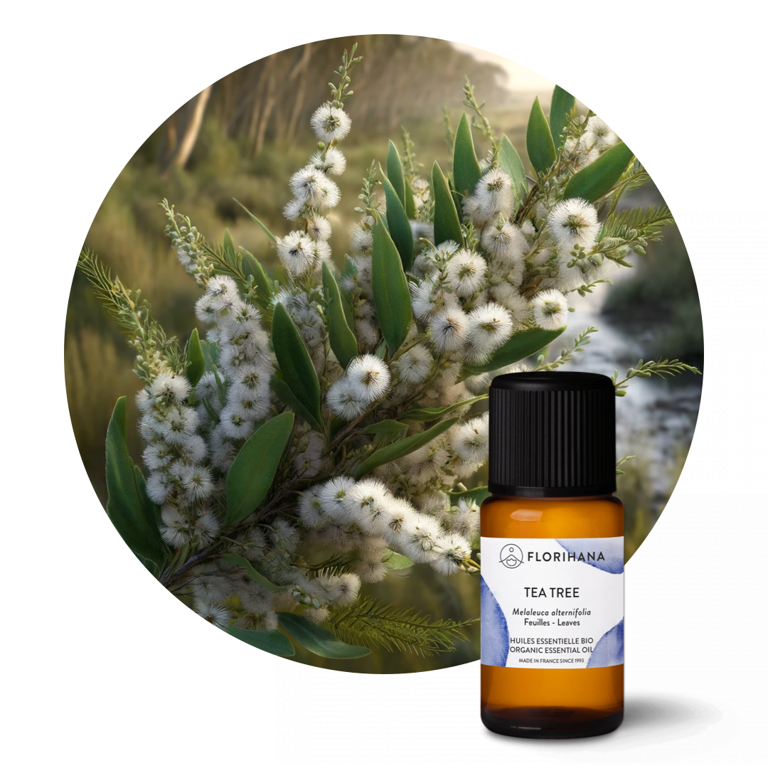 Tea Tree Organic Essential Oil