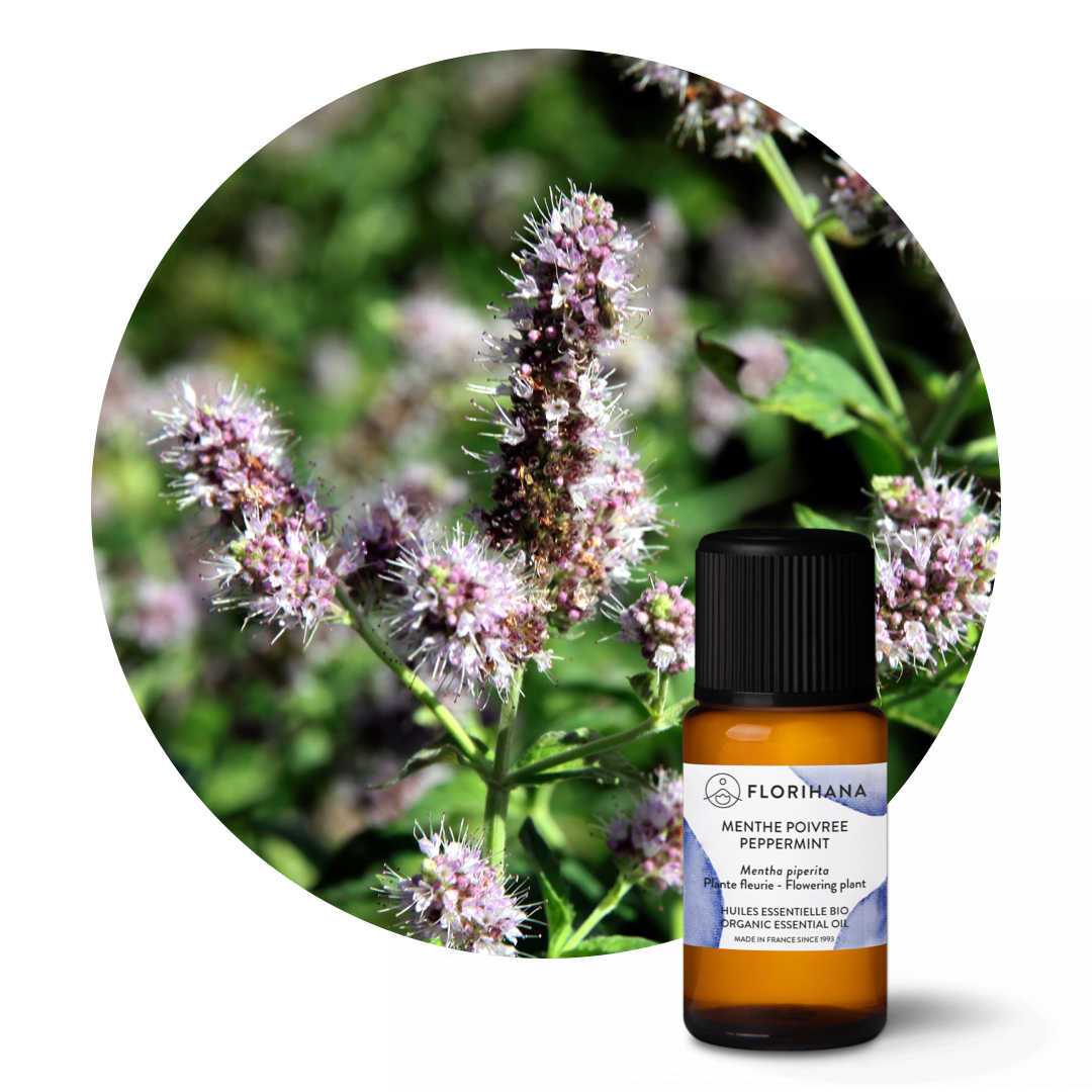 Peppermint Organic Essential Oil