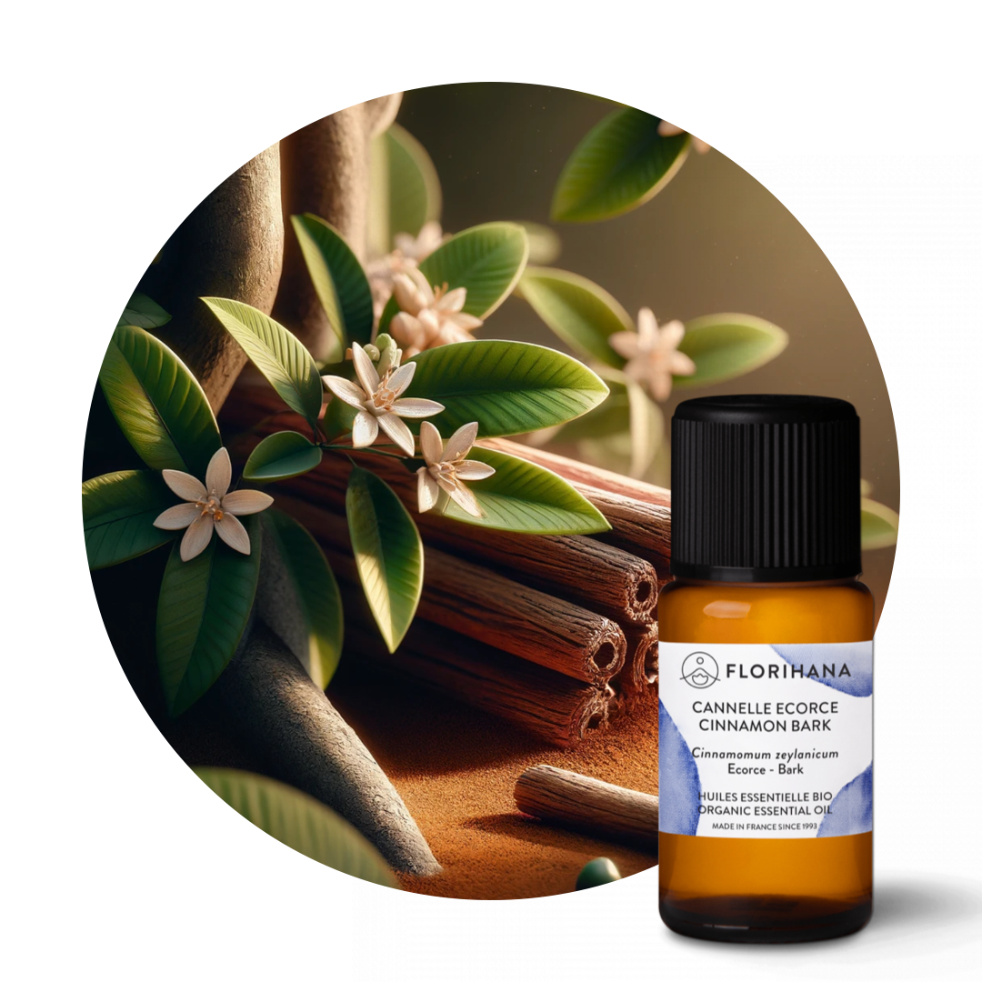 Cinnamon Bark Essential Oil