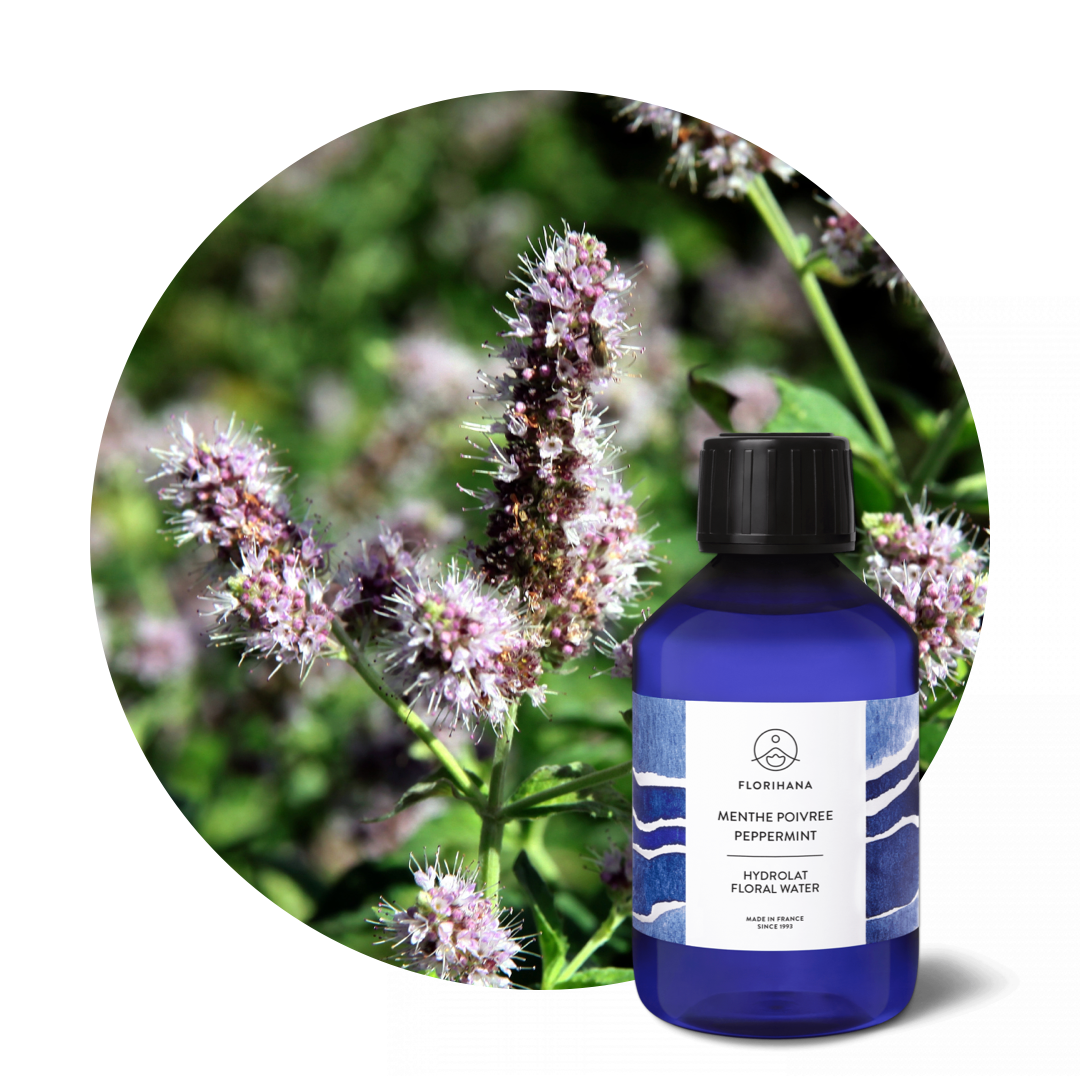 Organic Peppermint Hydrosol
