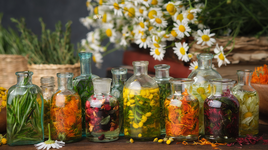 Why Latin Names Matter for Essential Oils