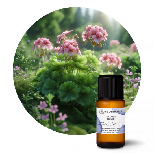 Geranium Rosat Essential Oil