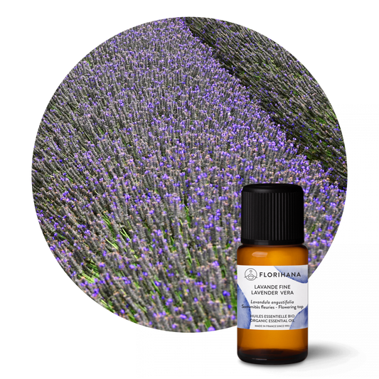 Lavender Vera Essential Oil