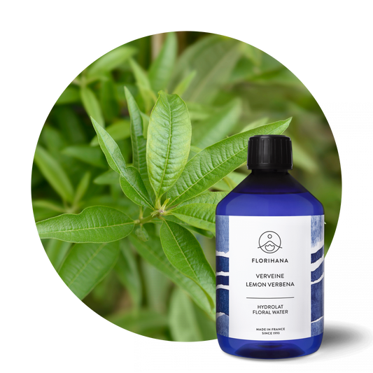 Organic Lemon Verbena Hydrosol