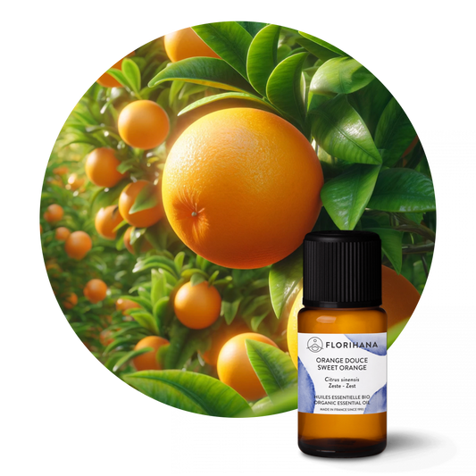 Sweet Orange Organic Essential Oil