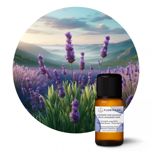 Wild Lavender Verra Essential Oil