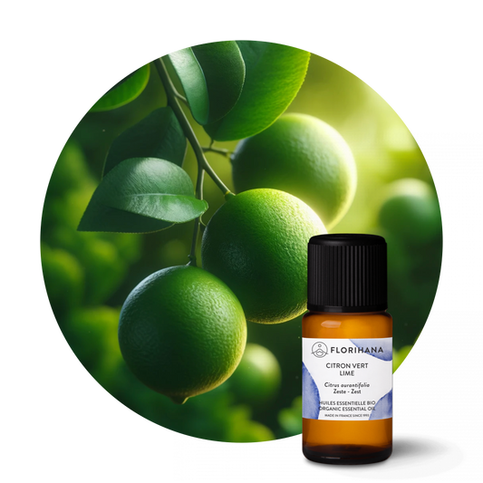 Lime Essential Oil