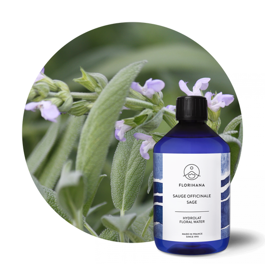 ორგანული Sage Hydrosol