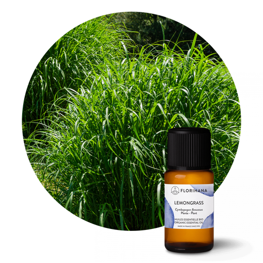 Lemongrass Essential Oil