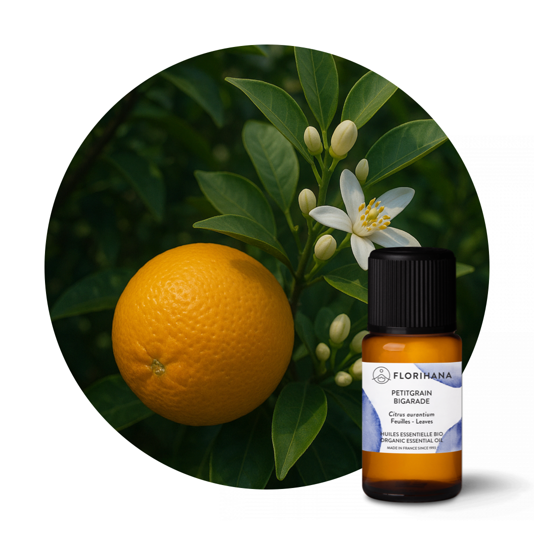 Petit Grain Bigarade Organic Essential Oil