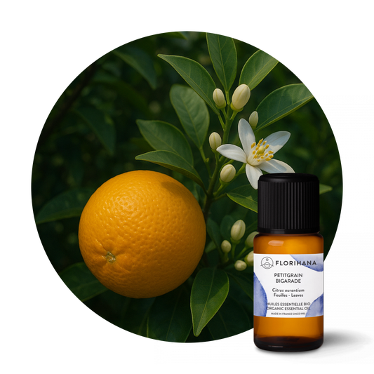 Petit Grain Bigarade Organic Essential Oil