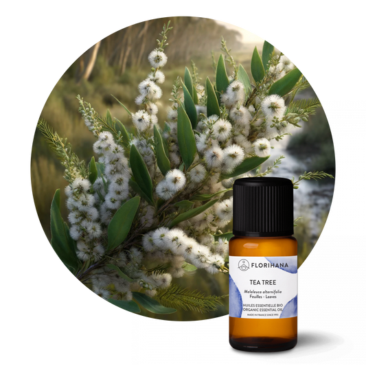 Tea Tree Organic Essential Oil