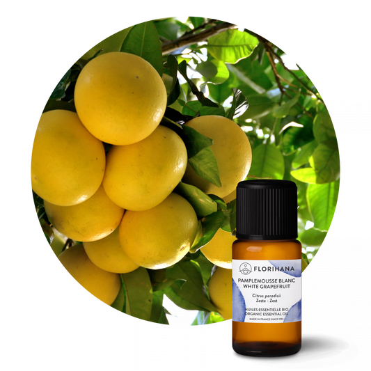White Grapefruit Organic Essential Oil
