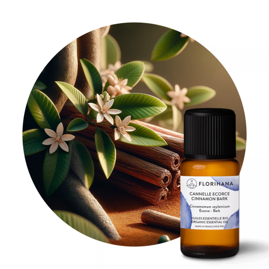 Cinnamon Bark Essential Oil