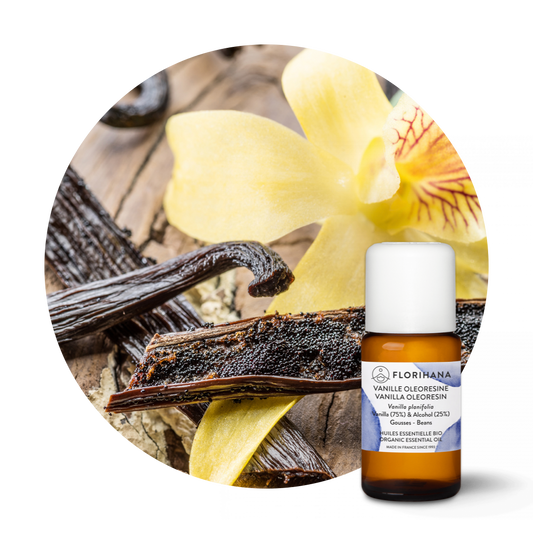 Vanilla Oleoresine Organic Essential Oil