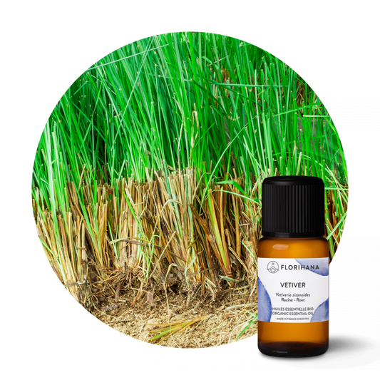 Vetiver Organic Essential Oil