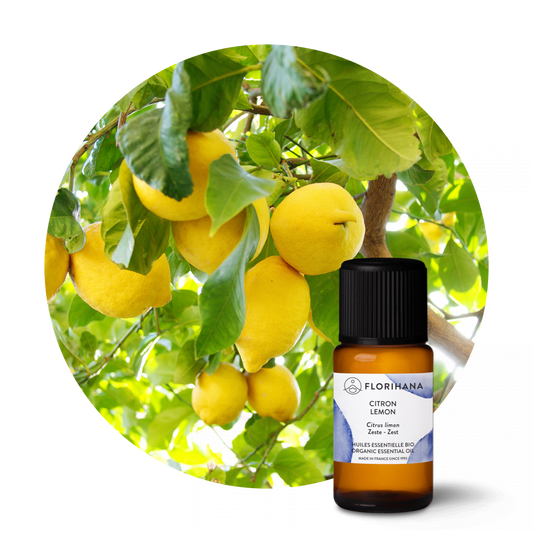Lemon Organic Essential Oil