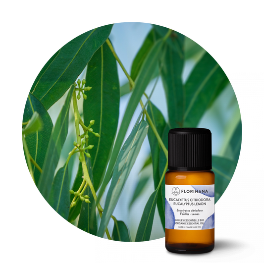 Eucalyptus Lemon Organic Essential Oil