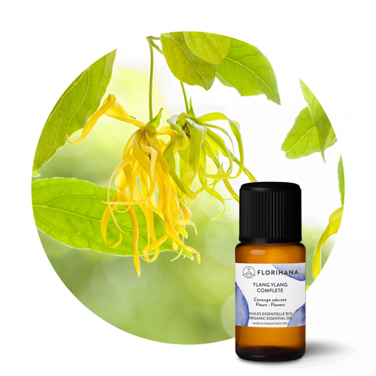 Ylang Ylang Organic Essential Oil