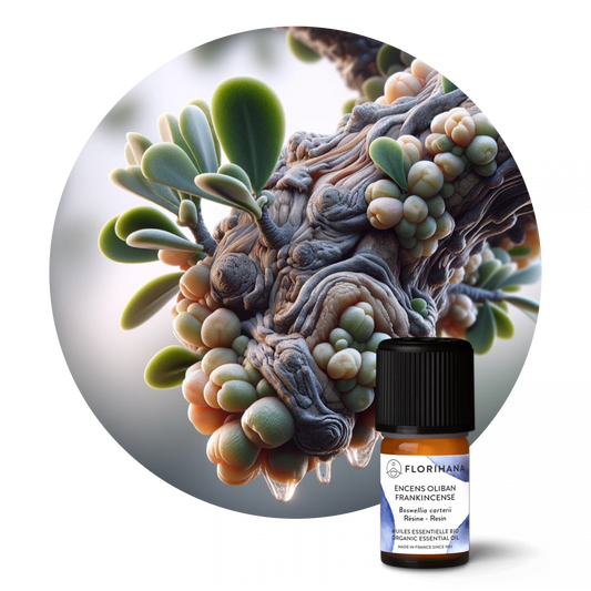 Frankincense Essential Oil