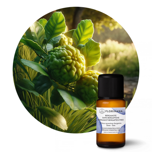 Bergamot Bergapten Free Essential Oil